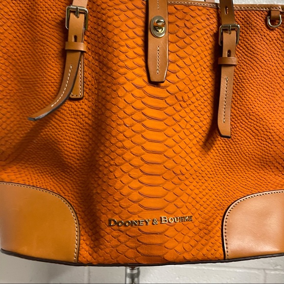 dooney and bourke python